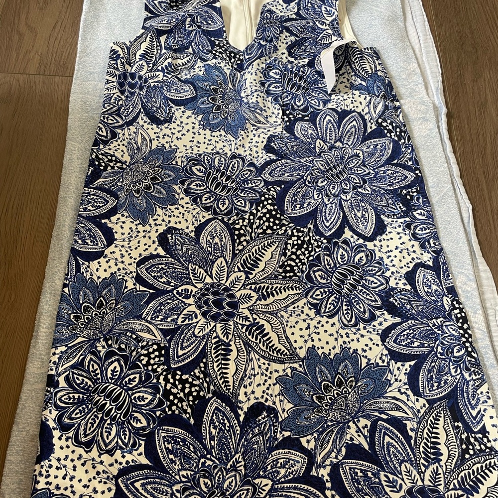Floral Sleeveless Dress in Blue and White